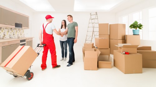 Seasonal and occasional household items stored neatly in boxes