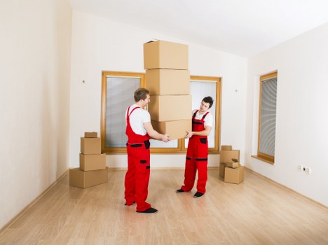 Organized shelving and packed items in a storage unit in Upperwalthamstow